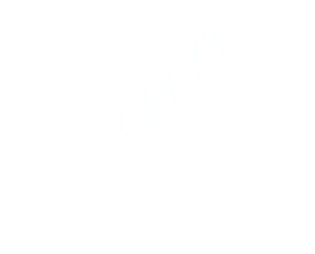 margdesign-bhtcontroldeplagas-certificado-arsev