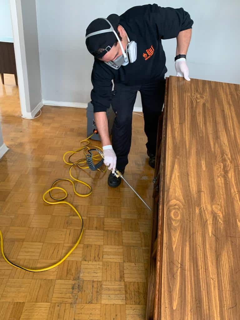 serrvicio de desinsectacion