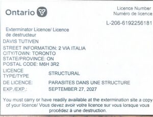 Licencia-Ontario_page-0001