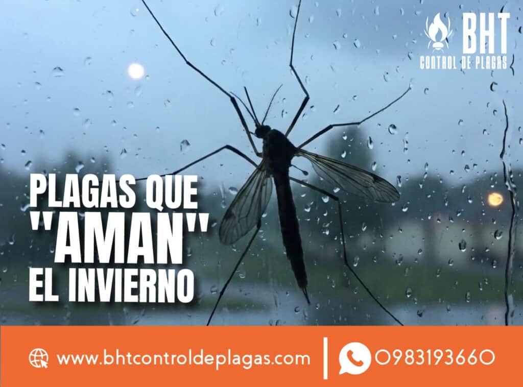 expertos-en-mosquitos.