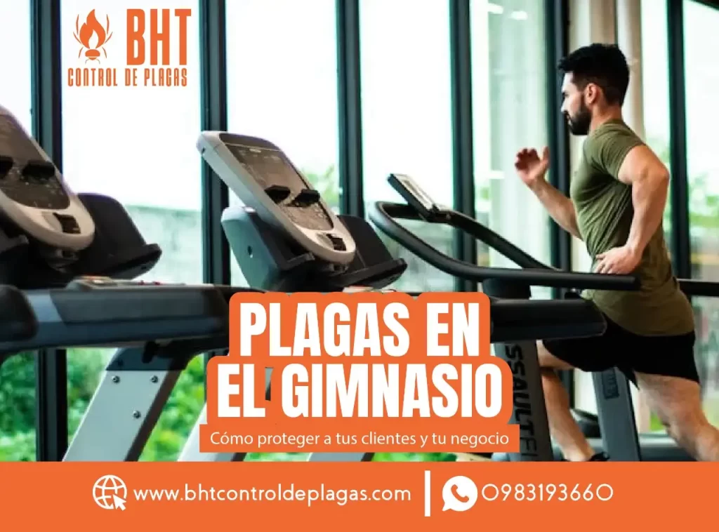 control-de-plagas-en-gimnasios